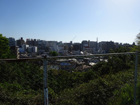 DSC00725
