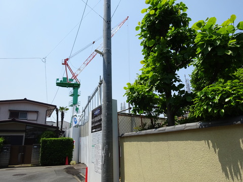 DSC01102