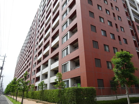 DSC02254