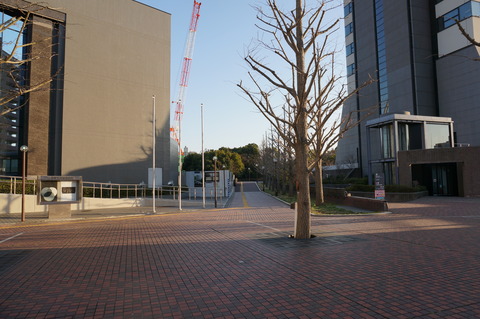 DSC03740