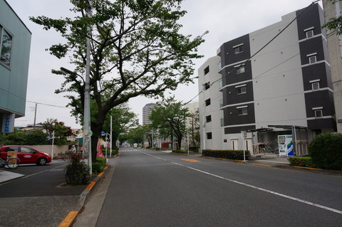 DSC05203
