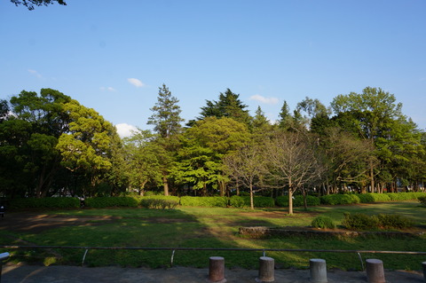 DSC05044