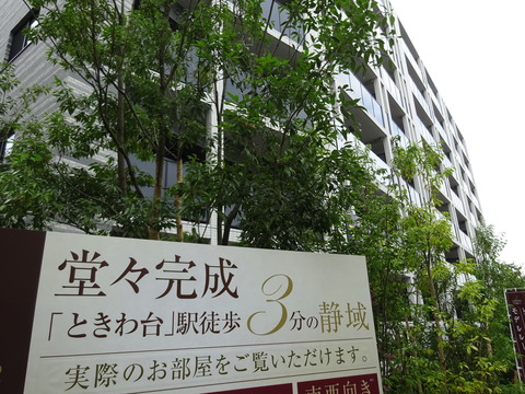 DSC02639
