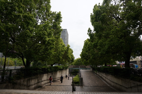 DSC05185
