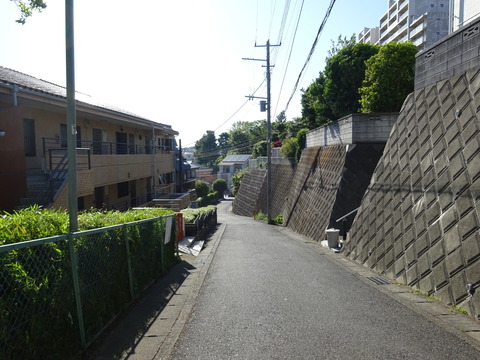 DSC00732