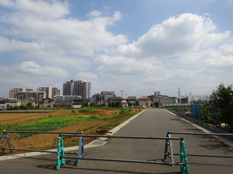 DSC03044