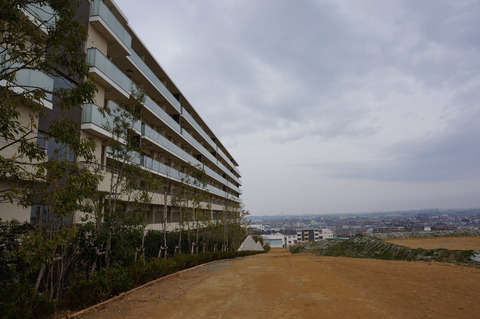 DSC03901