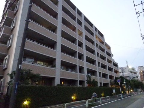 DSC03071