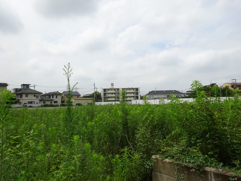 DSC02250