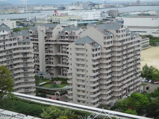 IMG_1716