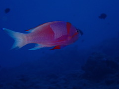 P1250017