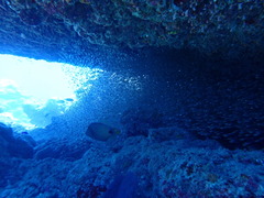 透明度バッチリです！