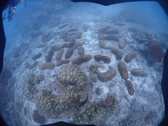 F9030034