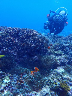 またまた冬です！