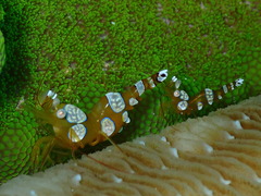 P3300092