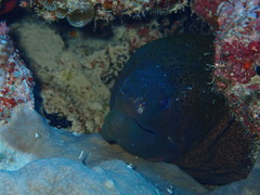P1250038