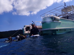 ２０年ぶりのダイビング！