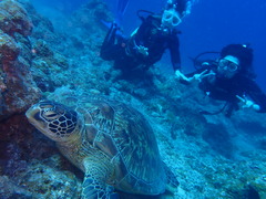 初めての体験ダイビング！