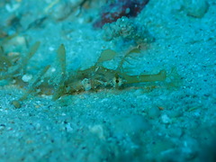 P3300137