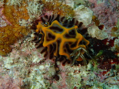 P3290191