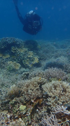 ちびっ子スノーケル！