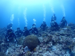 F9060068