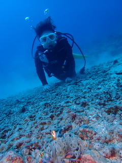 連休でーす。大賑わい！