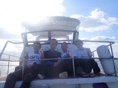 ウミガメ急接近！