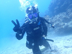 コブシメ今年は早め！