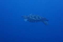 大時化でも楽しめます!