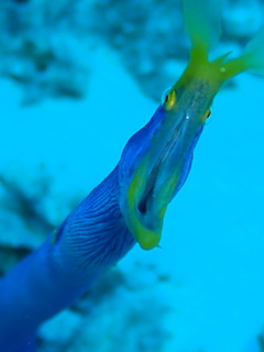 PB050769