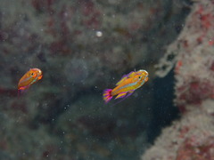 台風戻ってきてます!😅