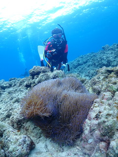 P1250029