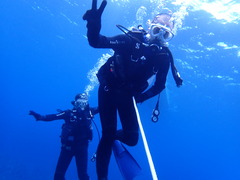 ホワイトチップシャークにビックリ！