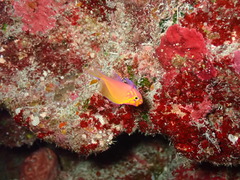 冬季休業のお知らせ！