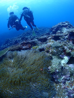 マンタ粘り勝ち！😄