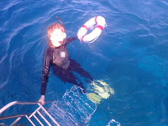 今年もマンタ好調です！😄