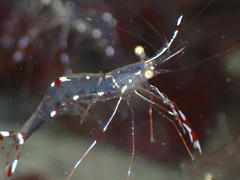 P1250060