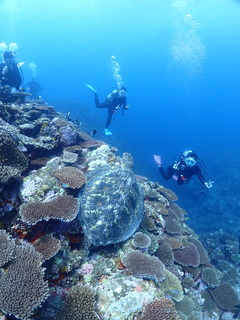 P6300027