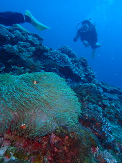 寒波到来です。