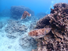 P3300049