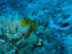 P3300021