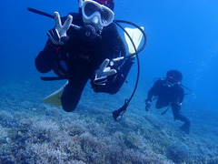 マンタ&ウミガメ&極上珊瑚！