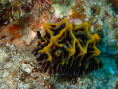 P1250086