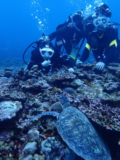 久しぶりのマンタ乱舞！