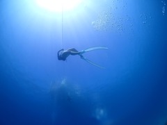 晴れたら暖かい!