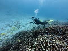 ちょっと早いクリスマス！