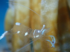 P1250043