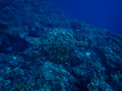 P1250070