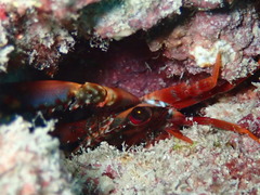P6300064